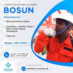 Ceyline Shipping Job Vacancy