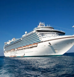Services Offered by Cruise Ship Staffing Agencies